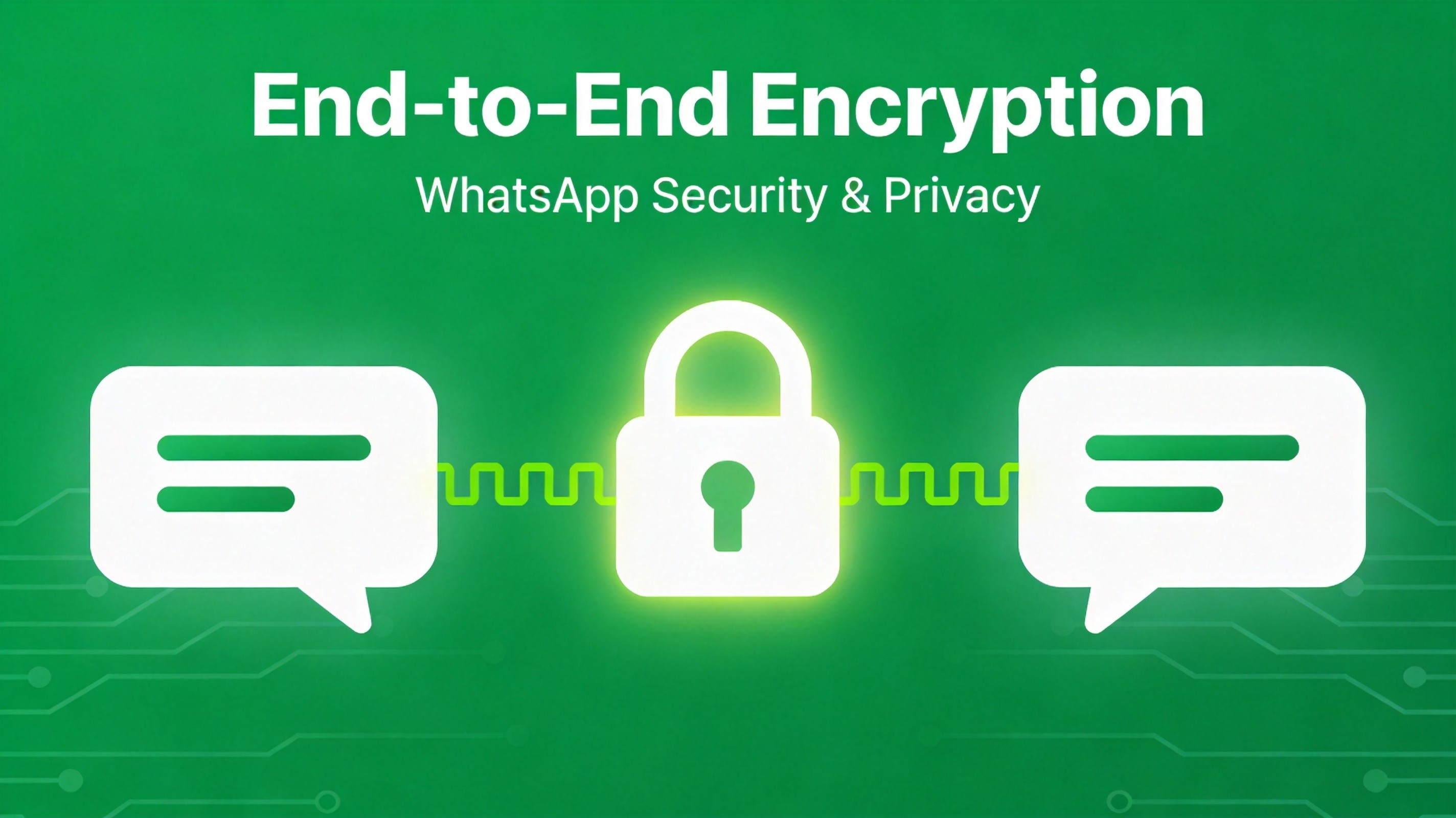 WhatsApp 功能展示